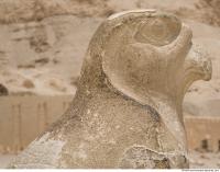 Photo Texture of Hatshepsut 0207